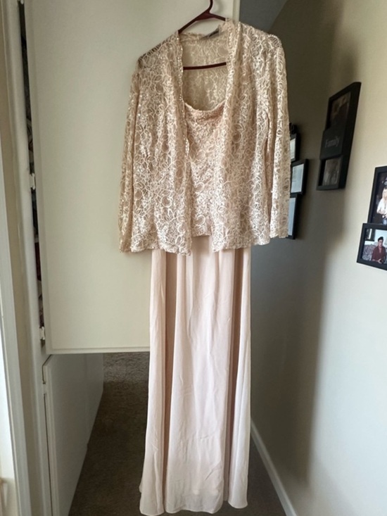 Emma Street Dresses & Skirts - Elegant Blush Lace Evening Dress